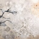 Hintsanen Päivi Hintsanen Päivi