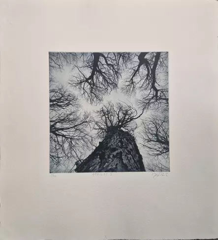 Laakso Juha: Aprilis 2 - Pienet vedokset - T11660 - 1