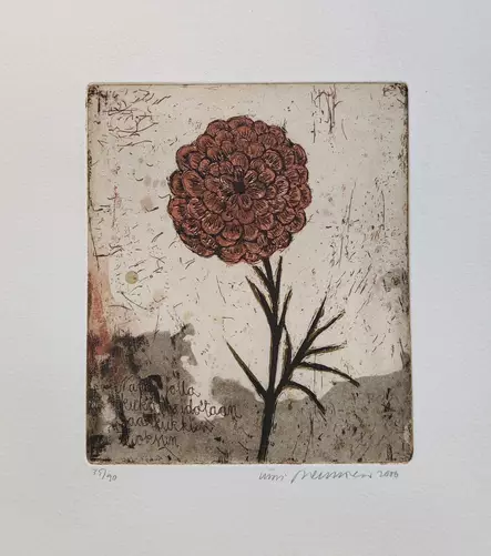 Neuvonen Kirsi: Naru, jolla kukat sidotaan - Pienet vedokset - T10940 - 1