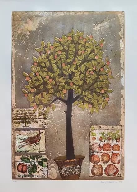 Neuvonen Kirsi: Omenapuu - Suuret vedokset - t12300 - 1