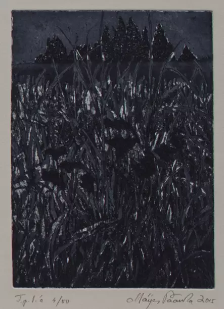 Paavola Maija: Pimeän kukkia - Pienet vedokset - t9620 - 1