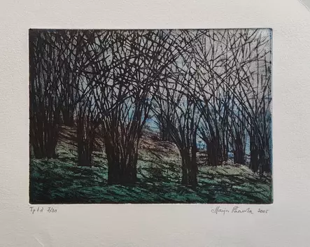 Paavola Maija: Valo viipyy muualla - Pienet vedokset - T6570 - 1