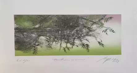 Pitko Marjo: Poeettinen maisema - Keskisuuret vedokset - t11870 - 1