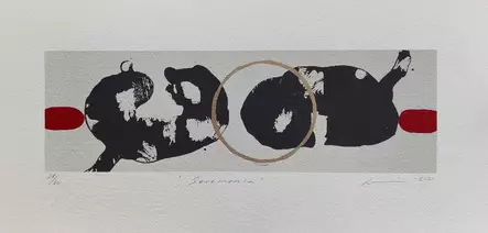 Virve Lilja: Seremonia - Pienet vedokset - t11930 - 1