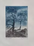 Paavola Maija: Linnunrata - Pienet vedokset - t12410 - 1