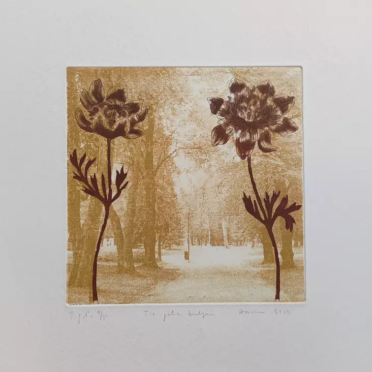 Hanni Pälvi: Tie jota kuljin - Pienet vedokset - t11970 - 1