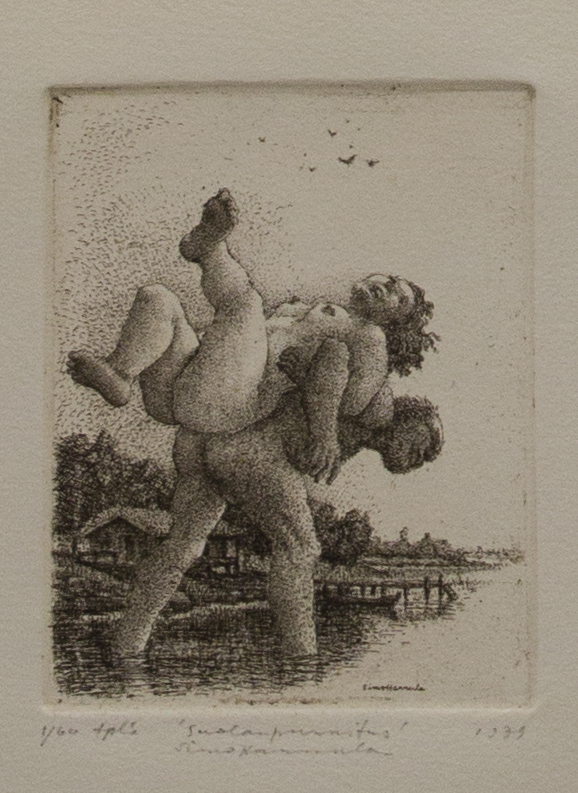 Hannula Simo: Suolanpunnitus - Pienet vedokset - t9910 - 1