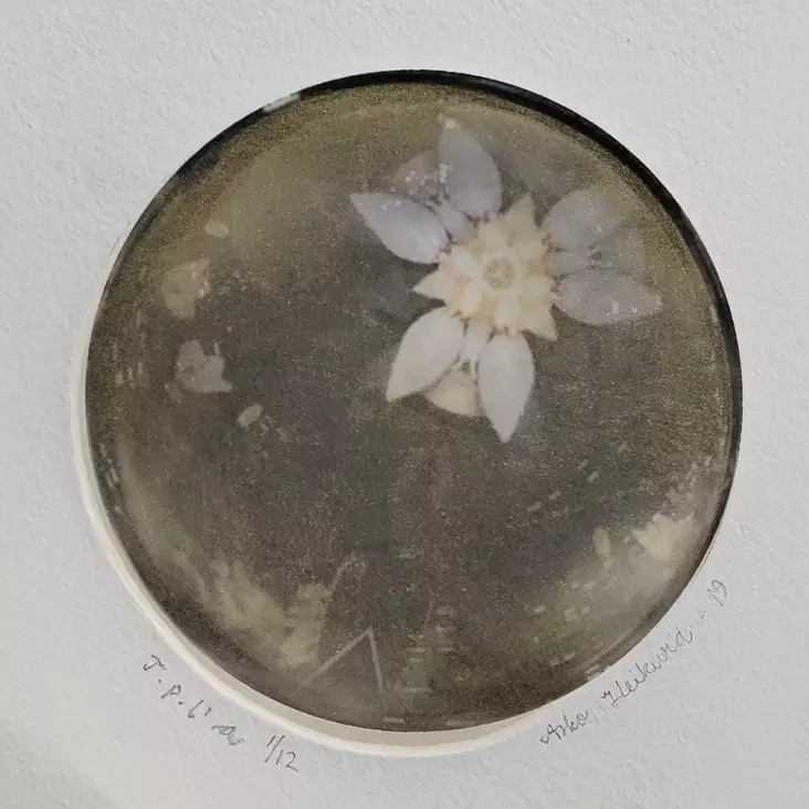 Heikura Asko: Sarjasta Apostolit - Pienet vedokset - t11330 - 1