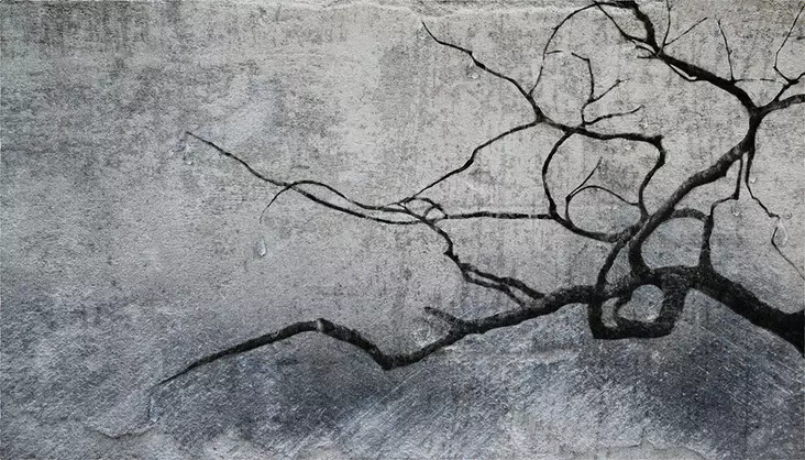 Hintsanen Päivi: Kyynelpuun oksat: Se on vain sade - Keskisuuret vedokset - t11700 - 1