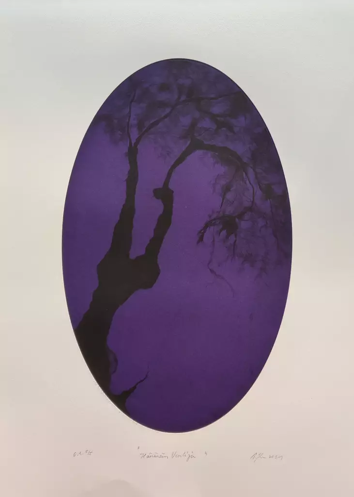 Kivinen Tiina: Hämärän vartija - Suuret vedokset - t12170 - 1