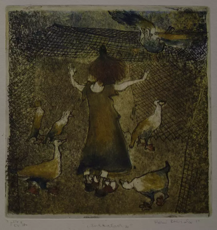 Koiviola Helmi: Ankkatarha - Pienet vedokset - t4040 - 1