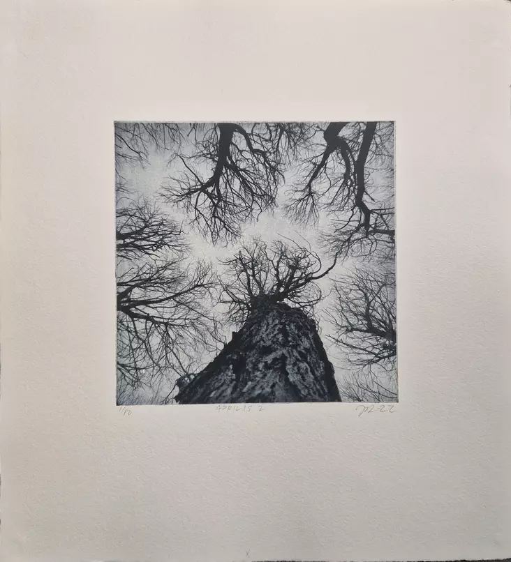 Laakso Juha: Aprilis 2 - Pienet vedokset - T11660 - 1