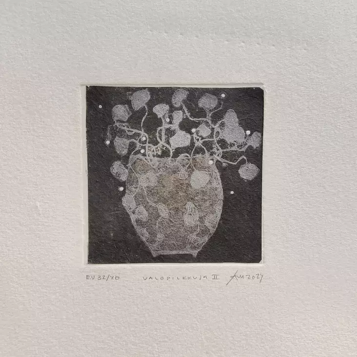 Mäkelä Anne: Valopilkkuja II - Pienet vedokset - t12080 - 1