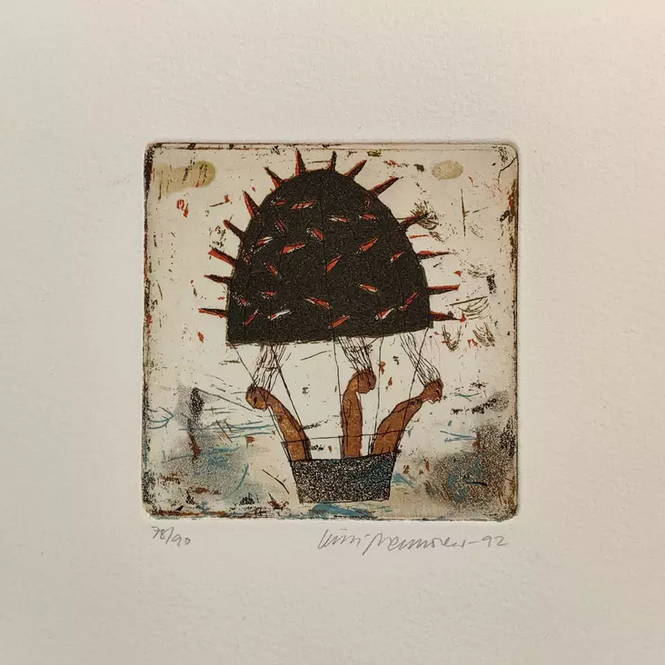 Neuvonen Kirsi: Kaktuskuumailmapallo - Pienet vedokset - t6520 - 1