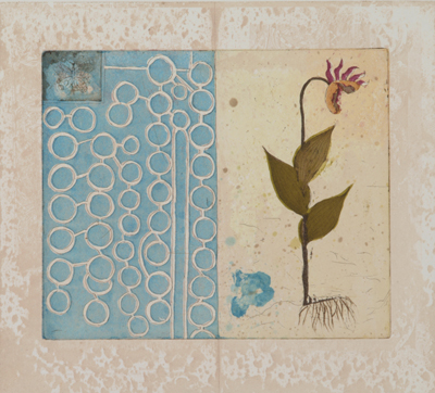 Neuvonen Kirsi: Papukaijakukka - Keskisuuret vedokset - t5560 - 1