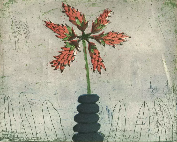 Neuvonen Kirsi: Tähtimehikasvi - Pienet vedokset - t10920 - 1