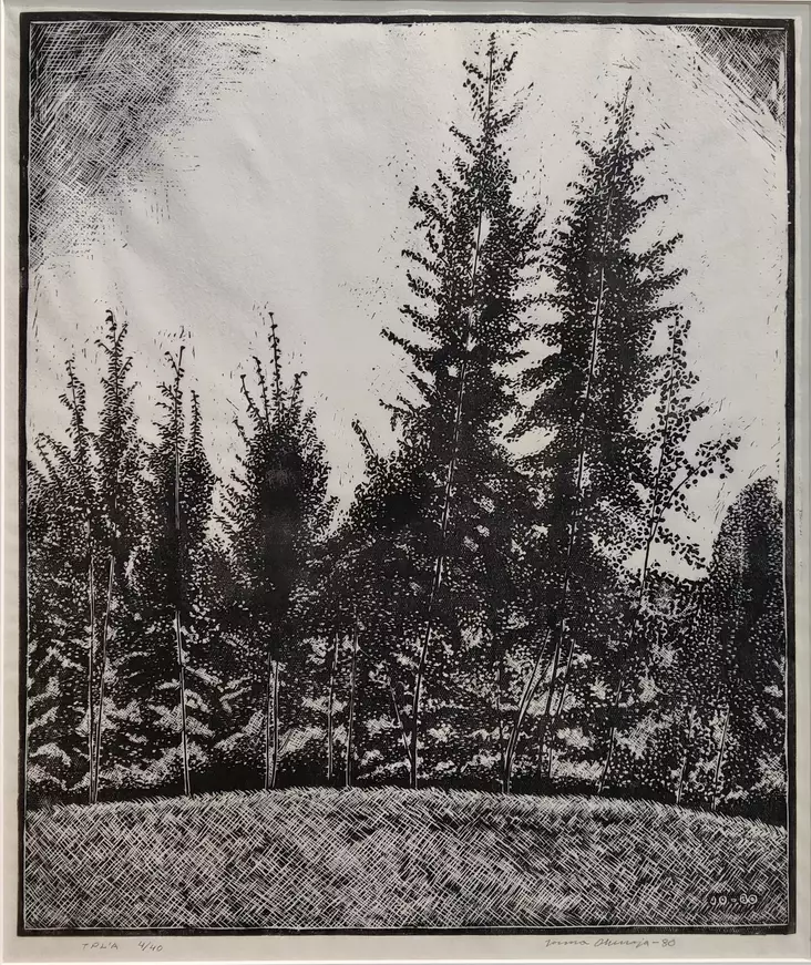 Ohenoja Jorma: Nimetön 1 - Keskisuuret vedokset - T9540 - 1