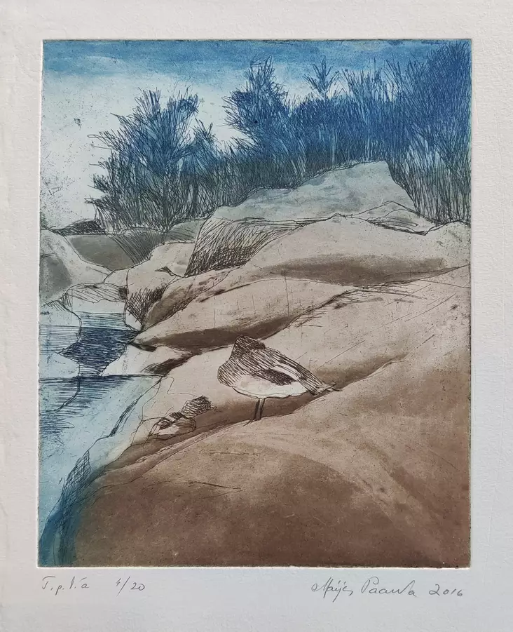 Paavola Maija: Luodolla - Pienet vedokset - T10290 - 1