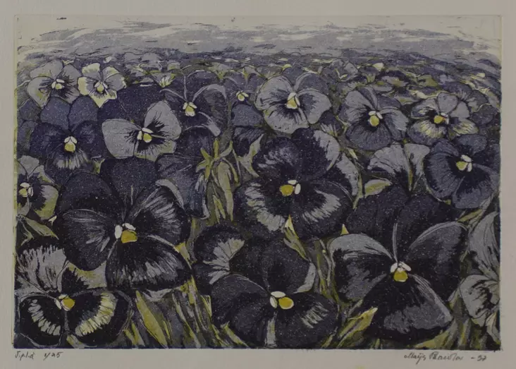 Paavola Maija: Orvokkimeri - Pienet vedokset - t2750 - 1