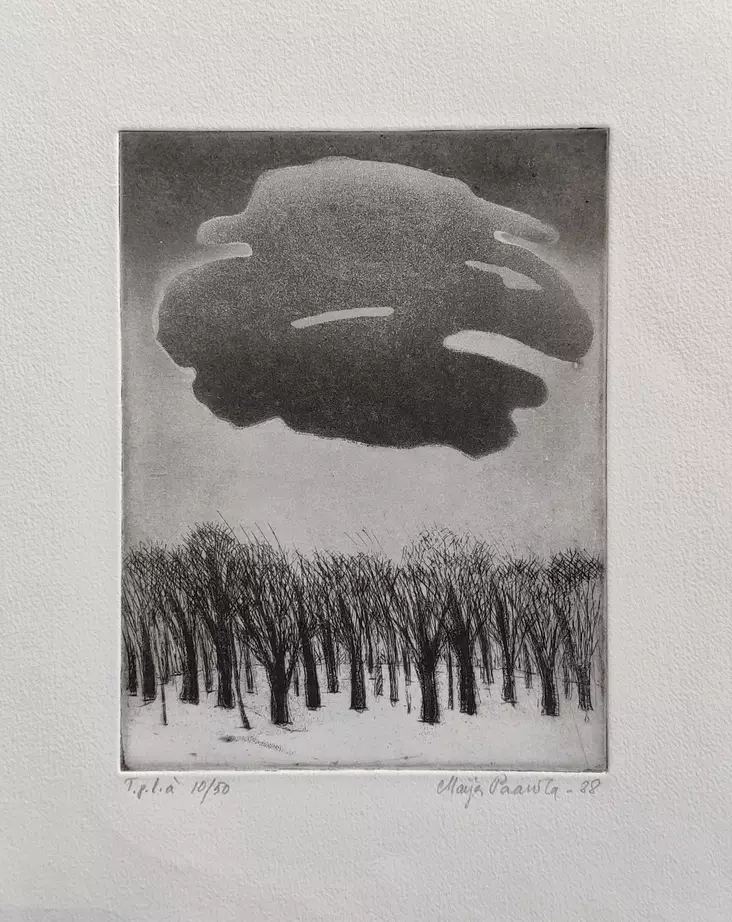 Paavola Maija: Pilvi - Pienet vedokset - T6860 - 1