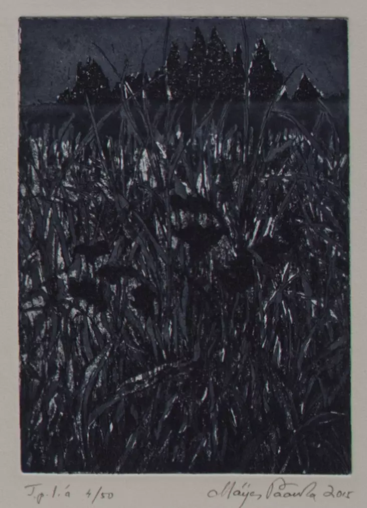 Paavola Maija: Pimeän kukkia - Pienet vedokset - t9620 - 1