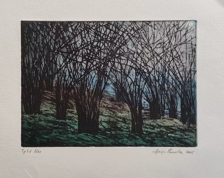 Paavola Maija: Valo viipyy muualla - Pienet vedokset - T6570 - 1