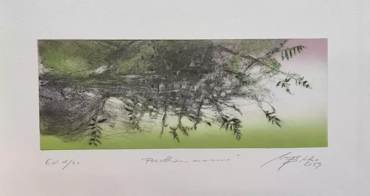 Pitko Marjo: Poeettinen maisema - Keskisuuret vedokset - t11870 - 1