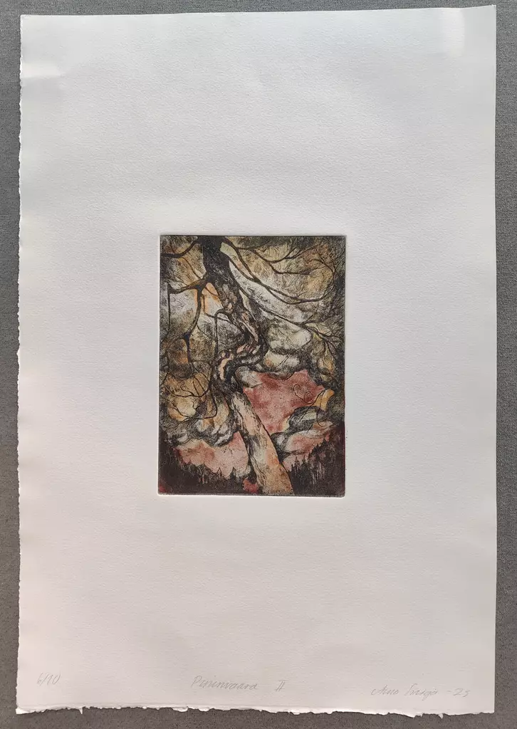 Sinioja Aino: Pirunvaara II - Pienet vedokset - t12390 - 1