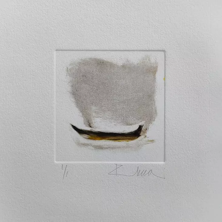 Soininen Riikka - Pienet vedokset - T11890 - 1