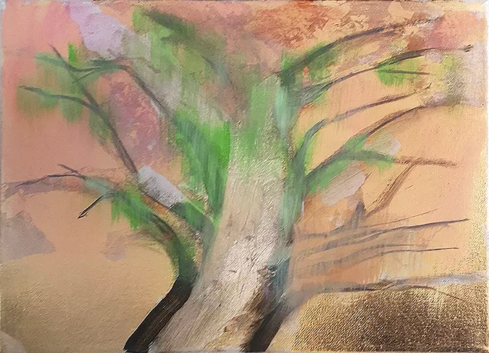 Soininen Riikka: Salava - Soininen Riikka - t12310 - 1