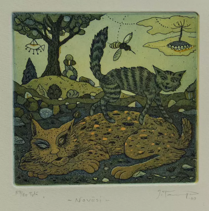 Tammenpää Juha: Noviisi - Pienet vedokset - t10190 - 1