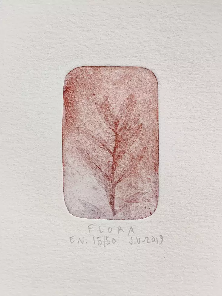 Vähäsöyrinki Joonas: Flora - Pienet vedokset - t11410 - 1