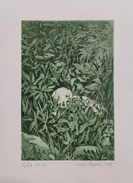 Paavola Maija: Koirapiilo - Pienet vedokset - t12101 - 1