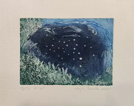 Paavola Maija: Taivaan niellyt - Pienet vedokset - T11541 - 1