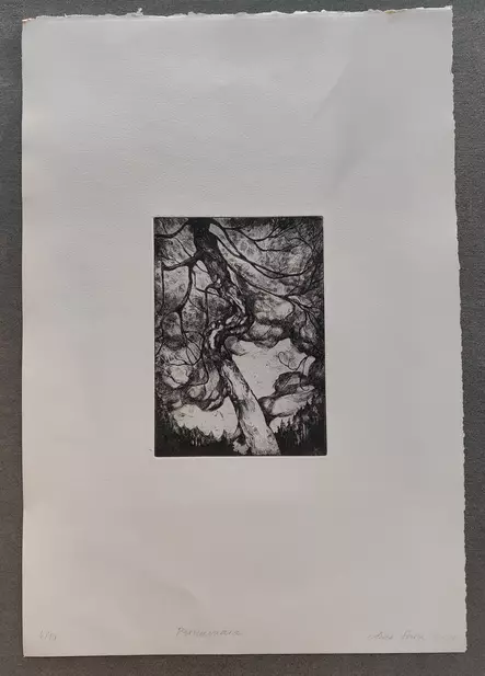 Sinioja Aino: Pirunvaara - Pienet vedokset - t12391 - 1