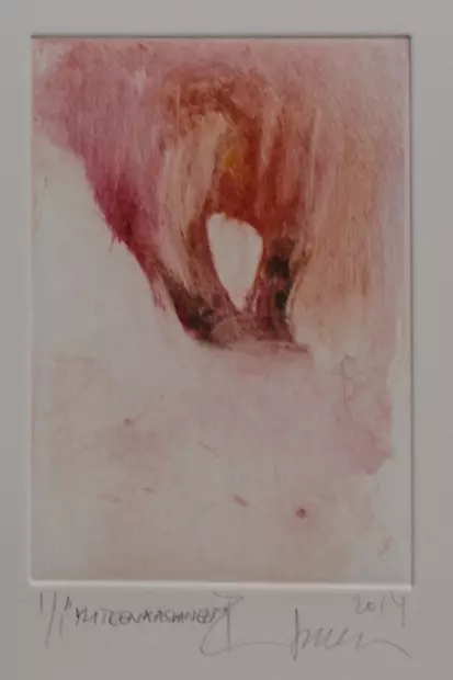 Soininen Riikka: Yhteenkasvaneet - Pienet vedokset - t9331 - 1