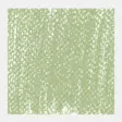 Rembrandt soft pastel 620,10 Olive Green - Kuivapastellit ja pastelliliidut - 004006201 - 2