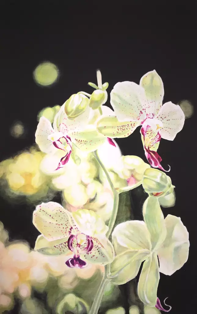 Caplan Asta: In the shape of light III - Keskisuuret vedokset - t10011 - 1