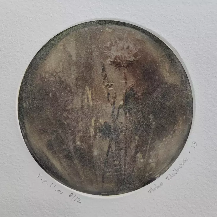 Heikura Asko: Sarjasta Apostolit - Pienet vedokset - T11331 - 1