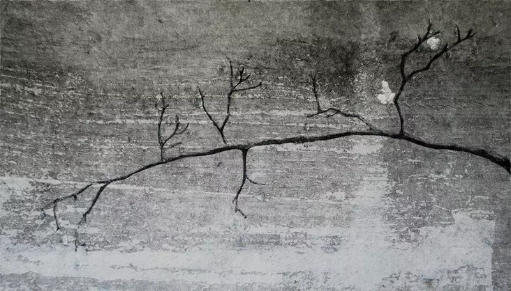 Hintsanen Päivi: Kyynelpuun oksat: Tuulenkyyneleet - Keskisuuret vedokset - t11701 - 1