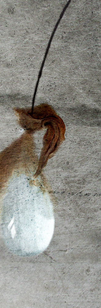 Hintsanen Päivi: Ruostekyynel II - Pienet vedokset - t11071 - 1