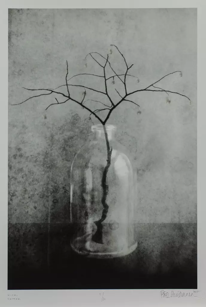 Hintsanen Päivi: Viha - Keskisuuret vedokset - t10251 - 1