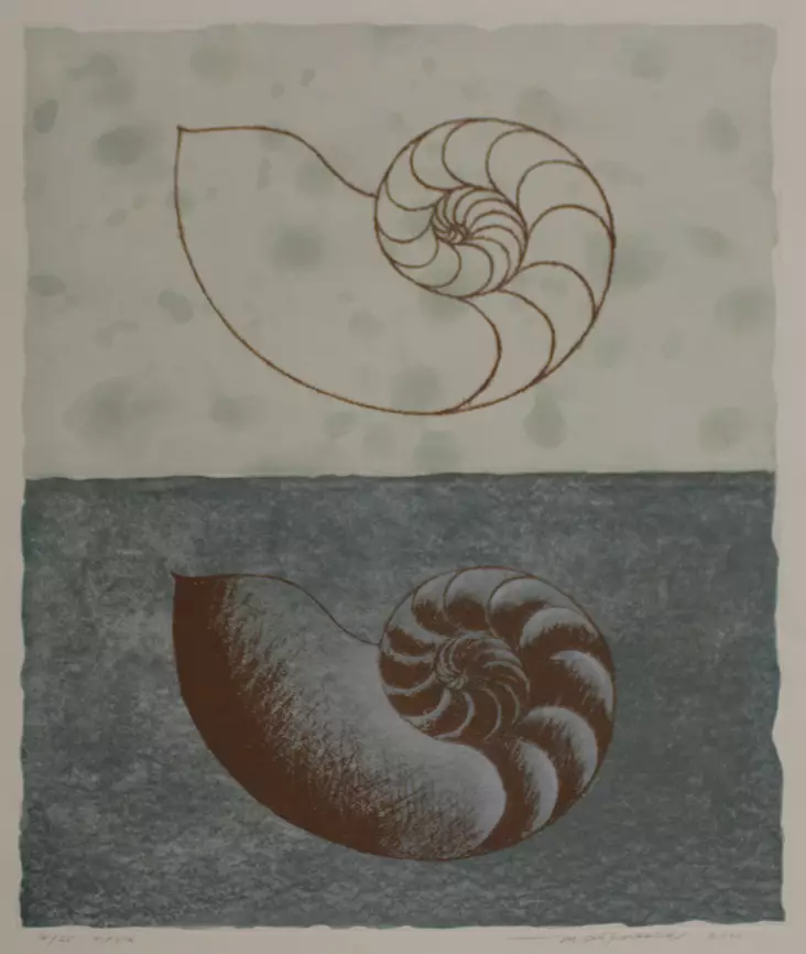 Koskela Matti: Ciocuola marrone - Keskisuuret vedokset - t2811 - 1