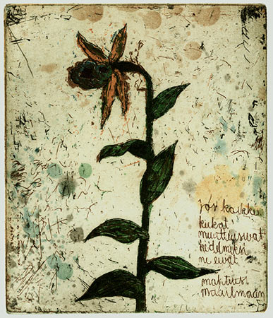 Neuvonen Kirsi: Jos kaikki kukat muuttuisivat hedelmiksi.. - Pienet vedokset - t5351 - 1