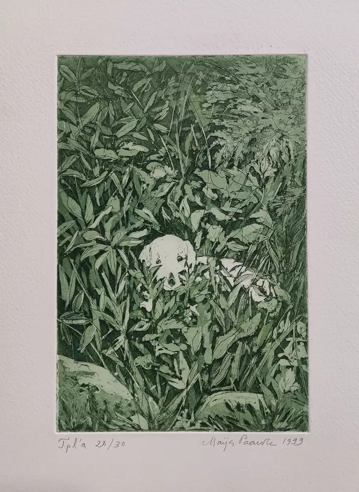 Paavola Maija: Koirapiilo - Pienet vedokset - t12101 - 1