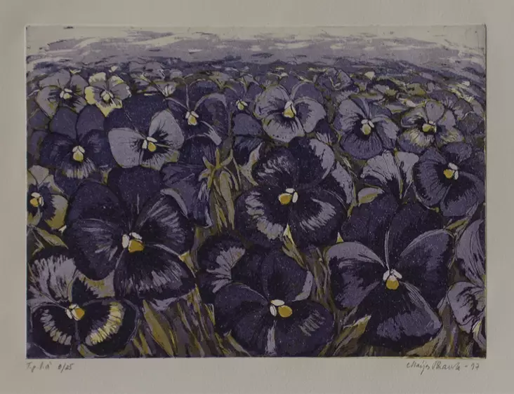 Paavola Maija: Orvokkimeri - Pienet vedokset - t2751 - 1