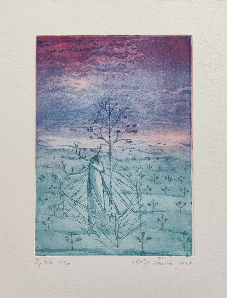 Paavola Maija: Poroaitaus - Pienet vedokset - T9871 - 1