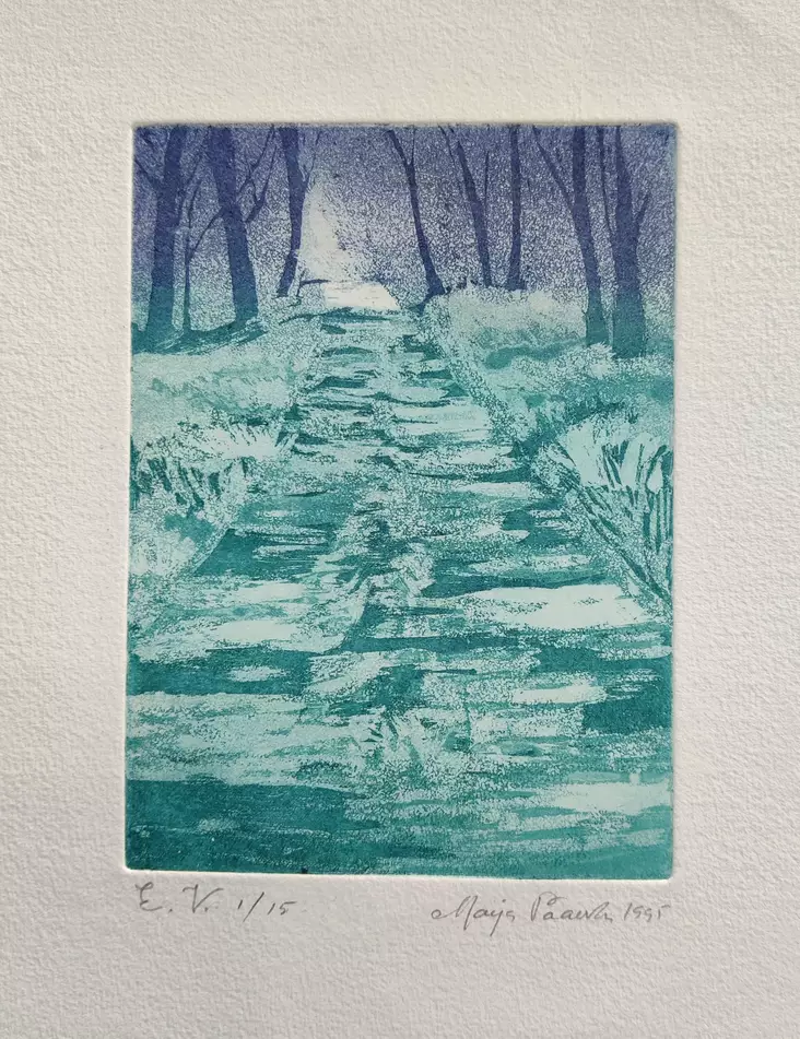 Paavola Maija: Taikatie - Pienet vedokset - t12181 - 1