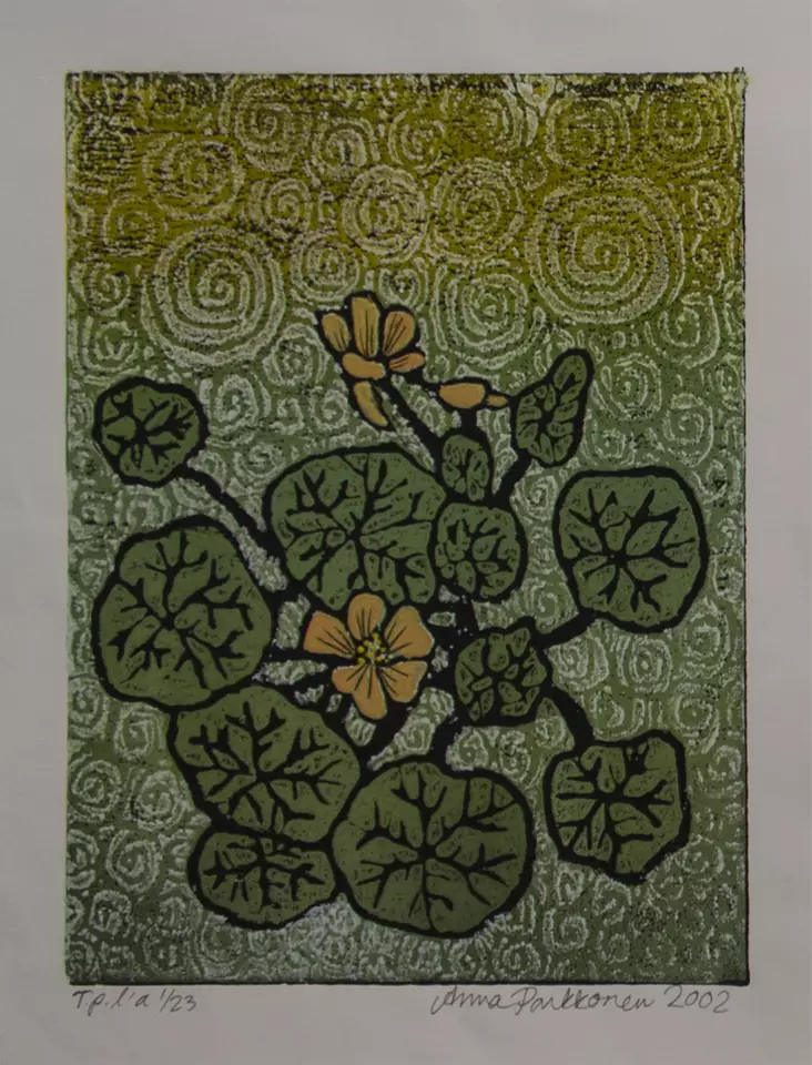 Parkkonen Anna: Krassit - Pienet vedokset - t10431 - 1