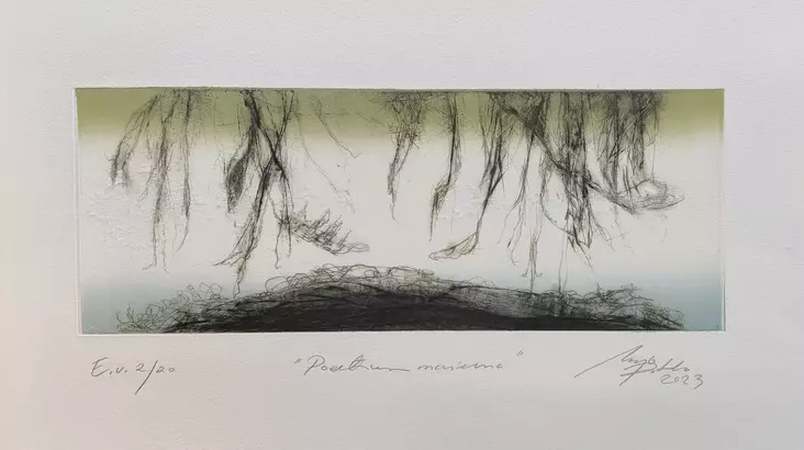 Pitko Marjo (Hyttinen): Poeettinen maisema (2) - Keskisuuret vedokset - t11871 - 1